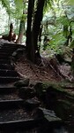 Trowutta Jungle naar de Arch & Cenote