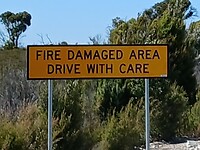Fire Damaged Area / Drive with Care