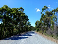 Arthur-Pieman Conservation Area
