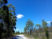 Arthur-Pieman Conservation Area