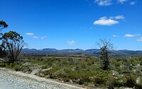 Arthur-Pieman Conservation Area