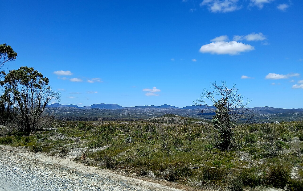 Arthur-Pieman Conservation Area
