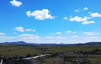Arthur-Pieman Conservation Area