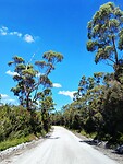 Arthur-Pieman Conservation Area