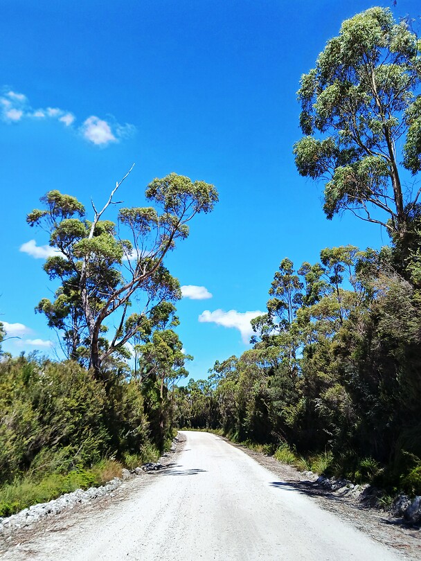 Arthur-Pieman Conservation Area