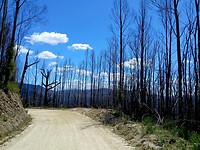 Arthur-Pieman Conservation Area