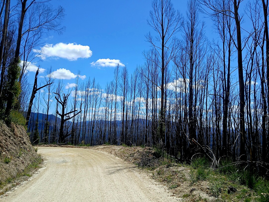 Arthur-Pieman Conservation Area