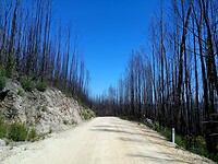 Arthur-Pieman Conservation Area