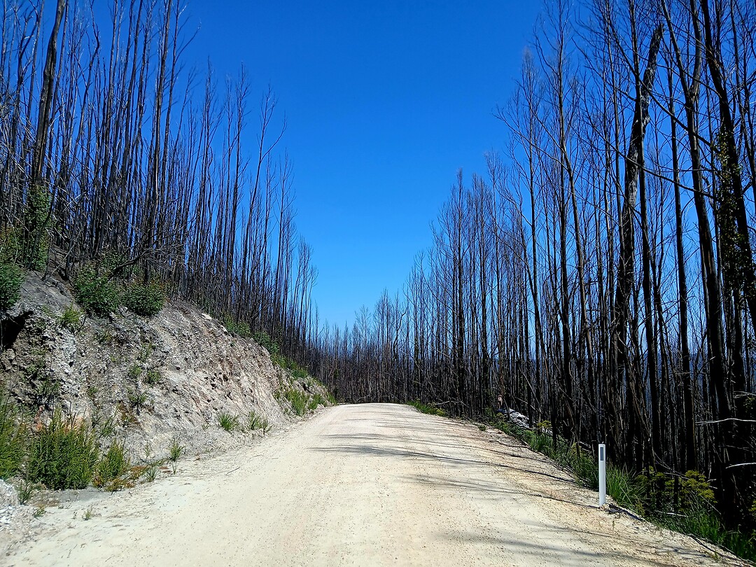 Arthur-Pieman Conservation Area