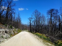 Arthur-Pieman Conservation Area