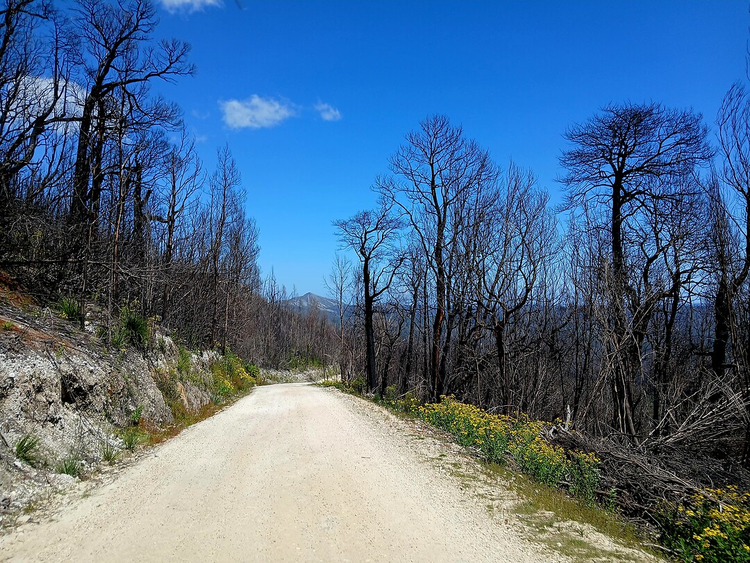 Arthur-Pieman Conservation Area