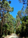 Arthur-Pieman Reserve Area