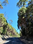 Bernafai ridge conservation area