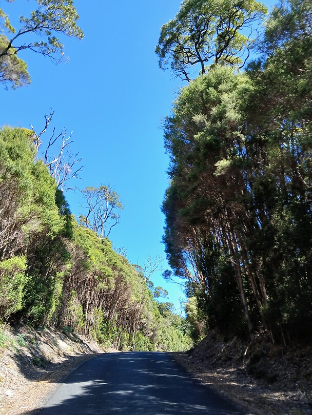 Bernafai ridge conservation area