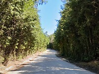 Bernafai ridge conservation area