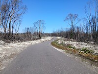 Bernafai ridge conservation area