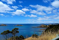 Penguin Beach
