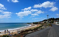 Strand Penguin