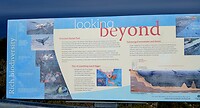 Looking Beyond
