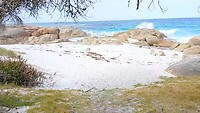 Het strand vlak voor ons tent