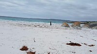 Suicide Beach