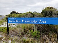 Bay of Fires Conservation Area