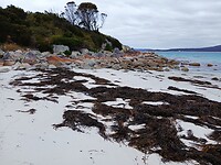 Honeymoon Beach L