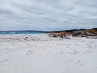 Suicide Beach R