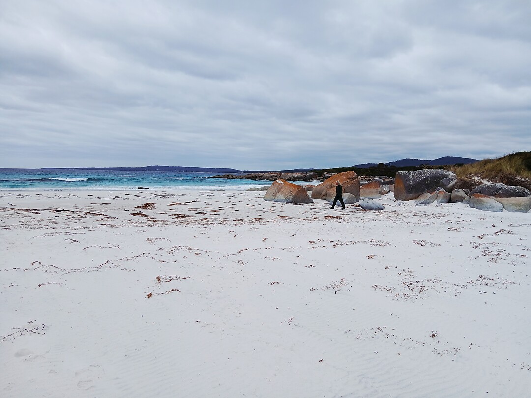 Suicide Beach R