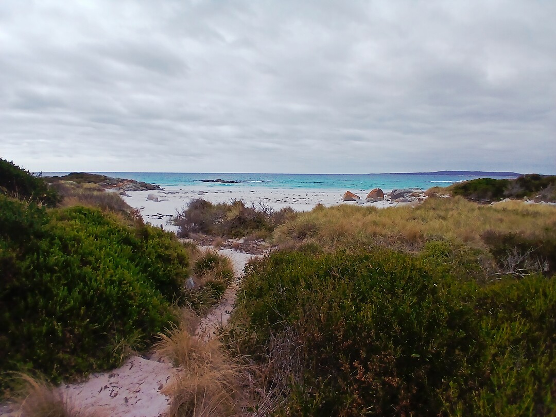 Suicide Beach
