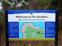 Welcom to The Garden
