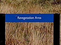 Revegetation Area