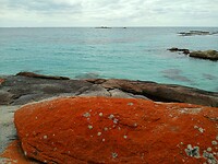 Azuurblauw-rood-oranje