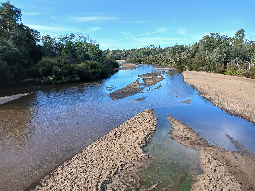 Ringarooma River