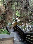 Trappen naar de Lilydale waterfall