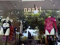 Weer een naderlands woord 'Naakt'