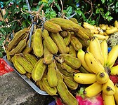 Buah Salju / Sneeuwvrucht / Ice Cream Bean