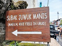 Hier afslaan voor de rijstvelden in Ubud