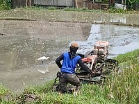 Boer ploegt het rijstveld met een handtractor