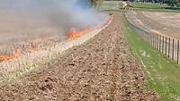 Veld wordt bewust in brand gestoken