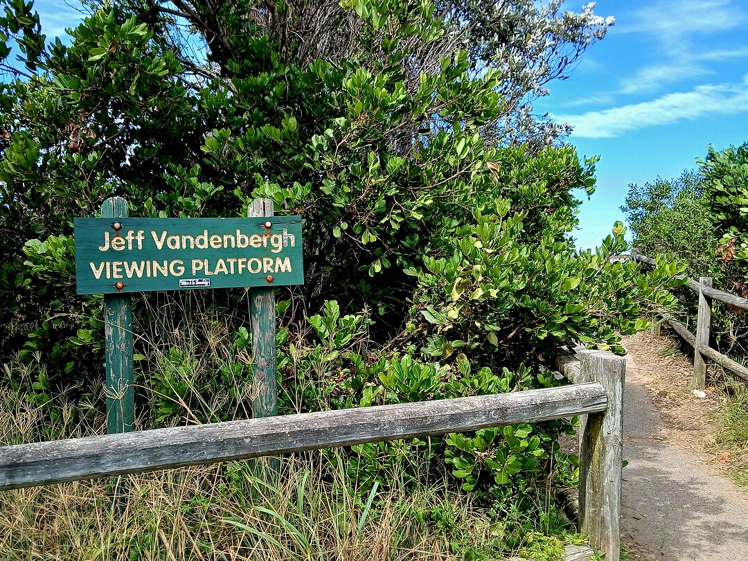 Jeff Vandenbergh Viewing Platform