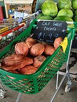 Gigantische zoete aardappels