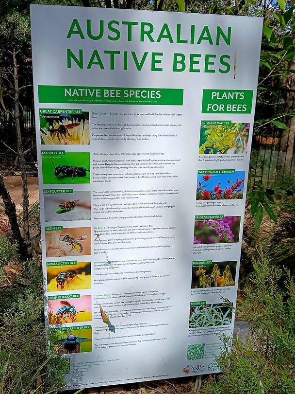 Soorten Australische bijen