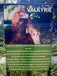 Info Valkyrie hoe hier beland