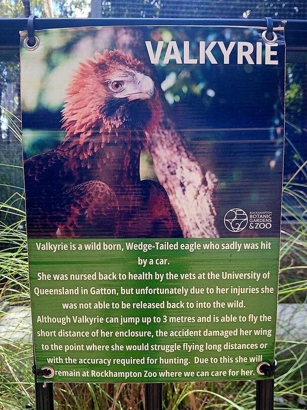 Info Valkyrie hoe hier beland