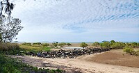 Prachtig strand aan de kamping