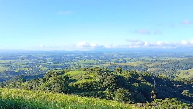 Lookout Millaa Millaa op 1050m hoogte