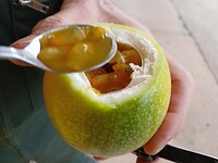 Zoveel sap, zelf van de boom getrokken