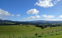 Millaa Millaa