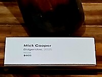$605 Didgeridoo